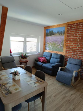 Dom W Krokusach Pokoje Gościnne, Nowe Bystre